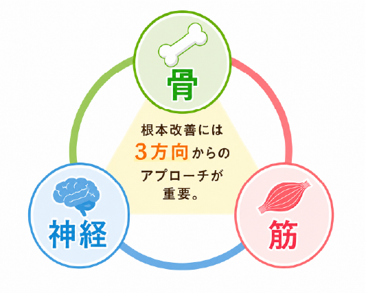 alt="根本改善には骨・神経・筋の3方向からのアプローチが重要|まなか鍼灸整骨院"