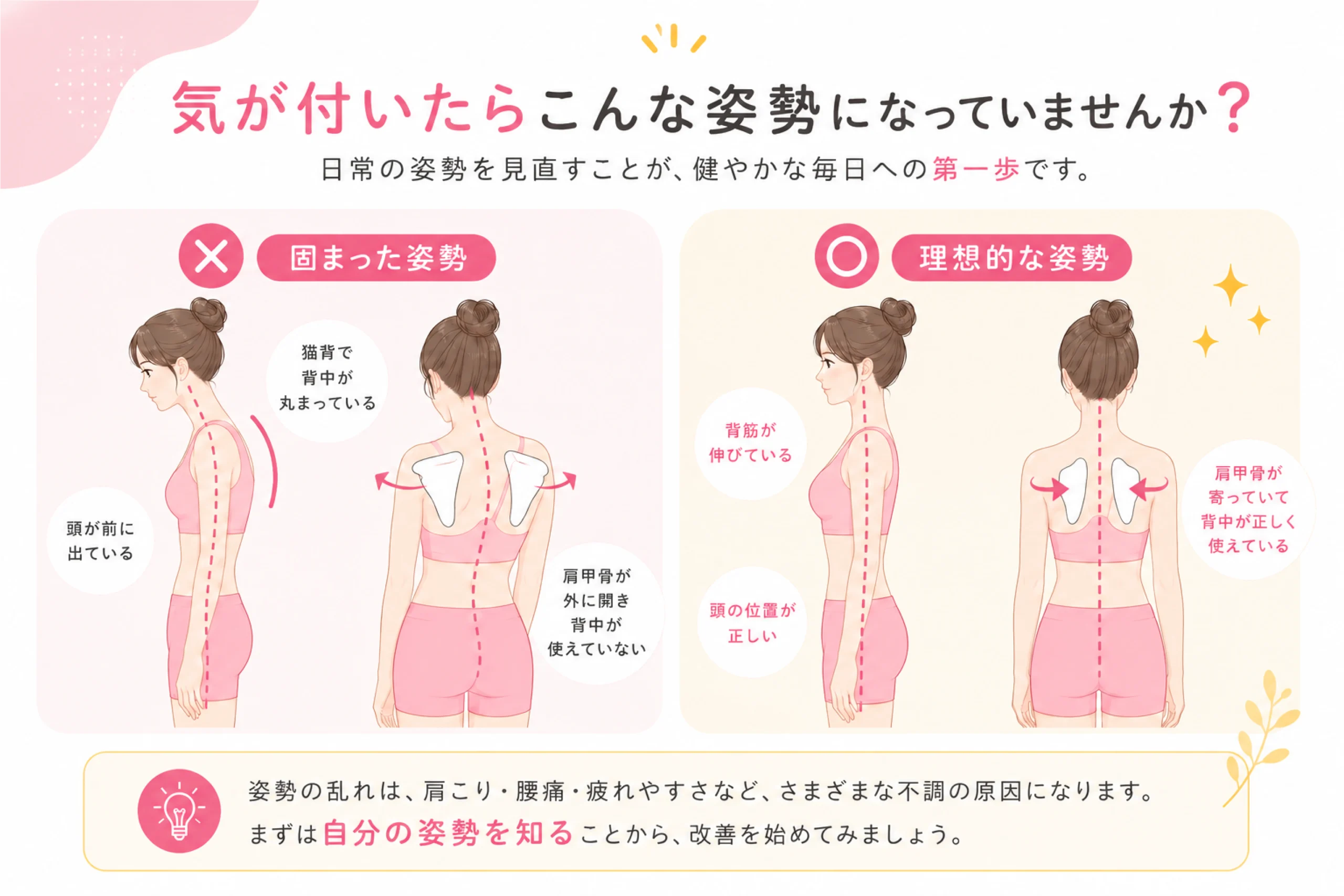 理想的な肩甲骨の位置と正しい姿勢を示したイラスト｜まなか鍼灸整骨院
