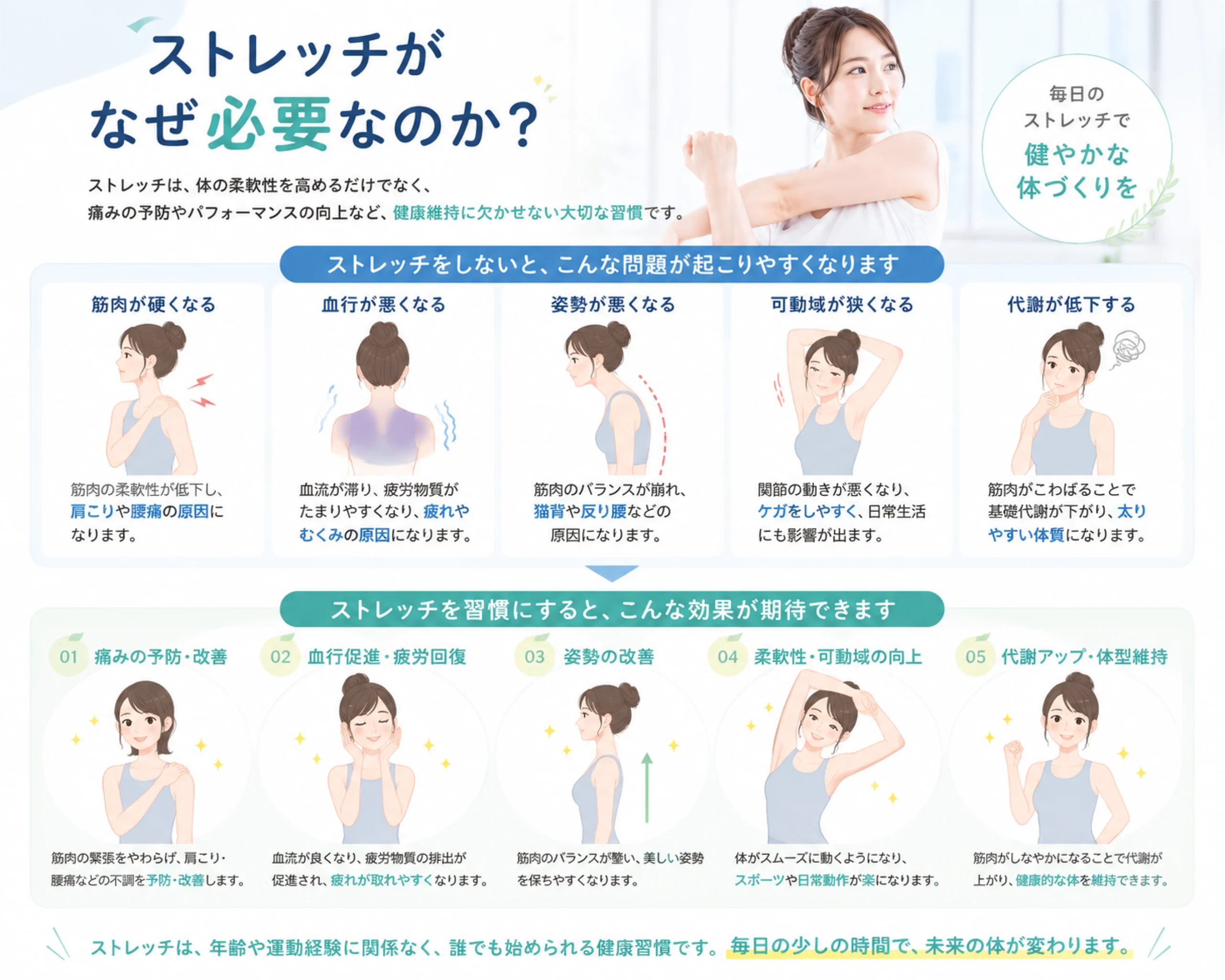 筋肉の硬さと血流の悪化を改善するためのストレッチの重要性を示したイラスト｜まなか鍼灸整骨院